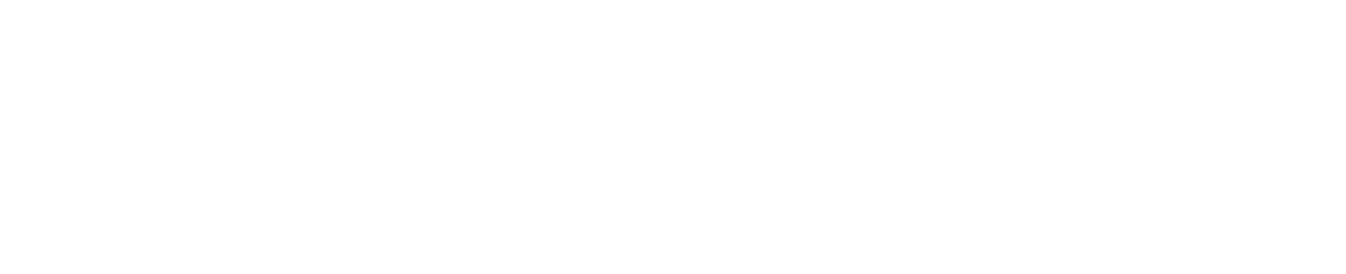 PromoPilot full logo (white)