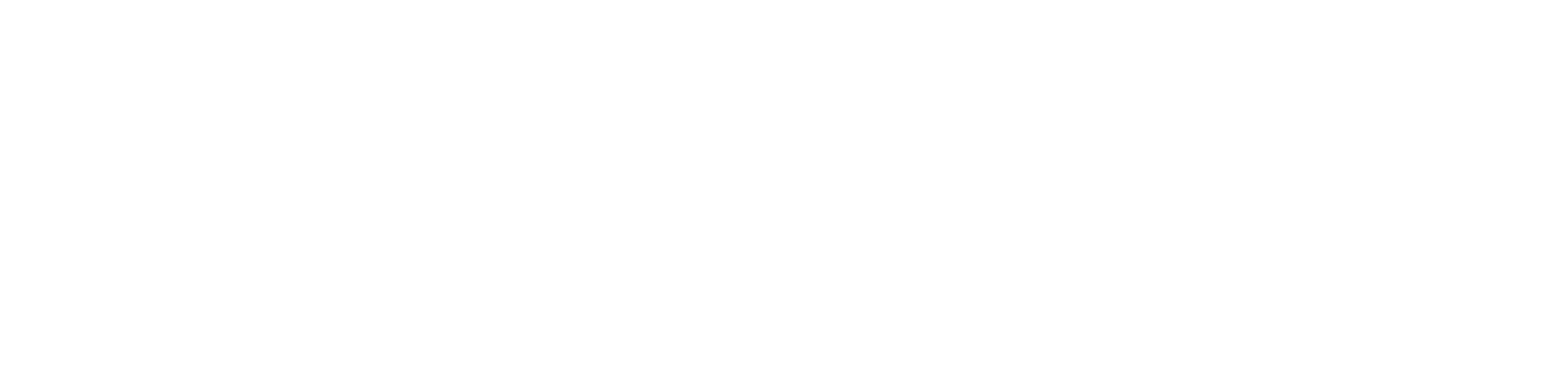 PromoPilot wordmark (white)